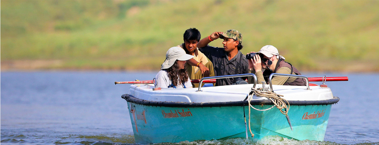 Chambal Safari Booking with Lunch including Pickup and Drop from Resort